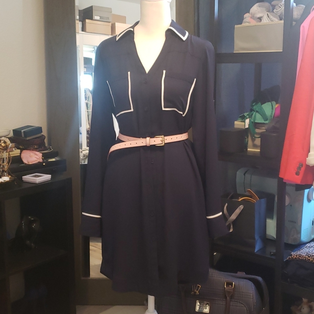 Express shirt dress